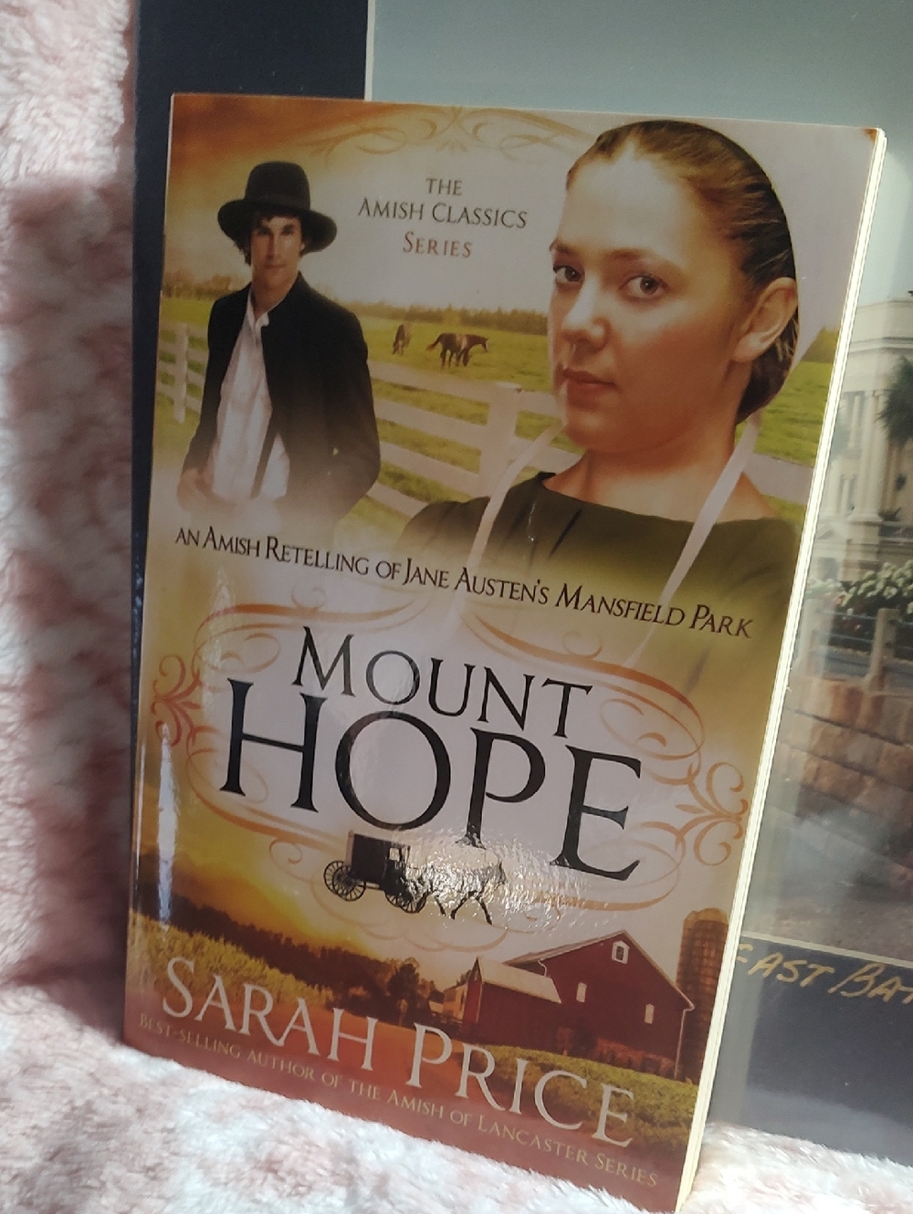 Mount Hope by Sarah Price - 📚/2016 - Picture 2 of 7